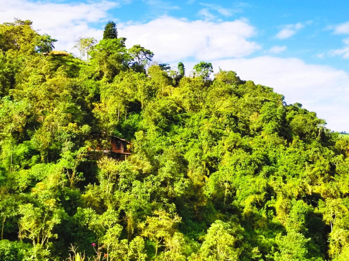 Finca Petrona Calacali Eksteriør bilde