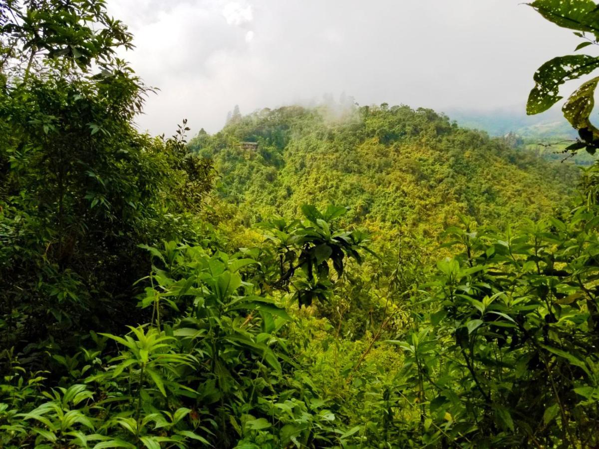 Finca Petrona Calacali Eksteriør bilde