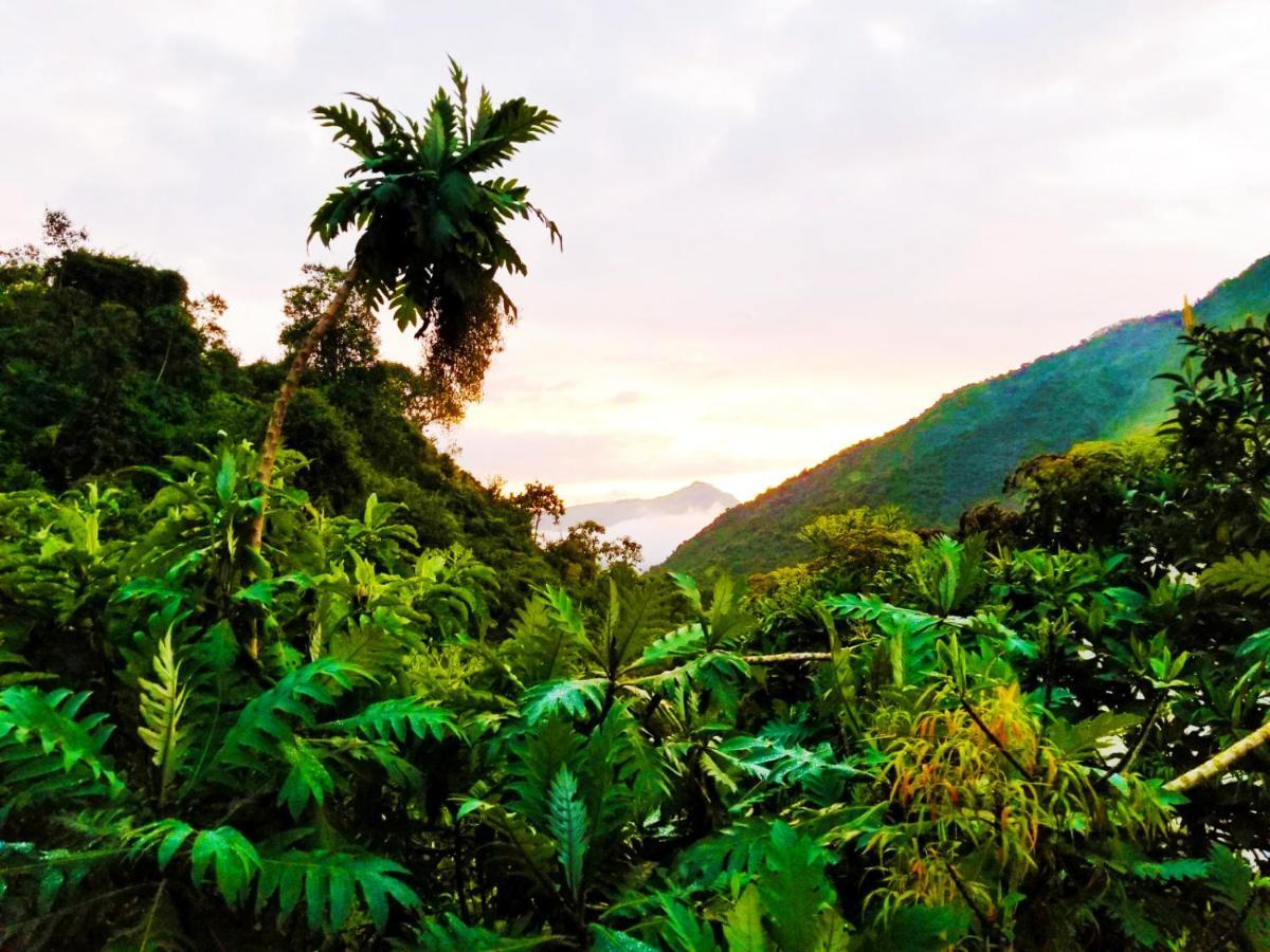 Finca Petrona Calacali Eksteriør bilde
