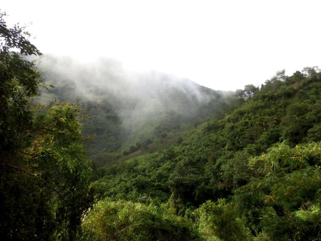 Finca Petrona Calacali Eksteriør bilde