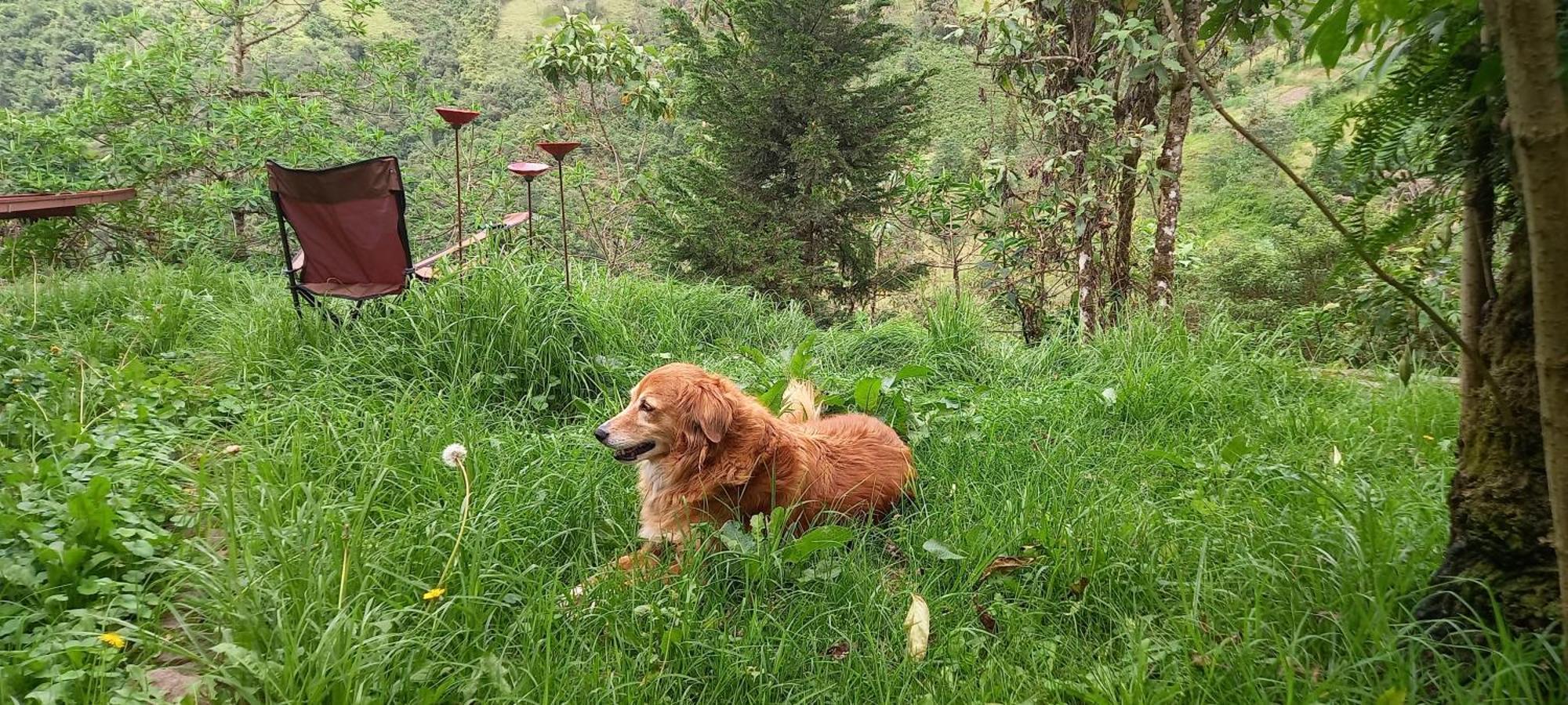 Finca Petrona Calacali Eksteriør bilde